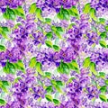 Watercolor lavender flowers background. Seamless floral pattern