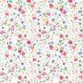 Beautiful seamless floral pattern with watercolor hand drawn gentle summer flowers. Stock illustration. Natural artwork. Royalty Free Stock Photo