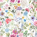 Beautiful seamless floral pattern with watercolor hand drawn gentle summer flowers. Stock illustration. Natural artwork. Royalty Free Stock Photo