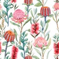 Beautiful seamless floral pattern with watercolor summer protea and australian banksia flowers. Stock illustration.