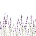 Beautiful seamless floral provence pattern with watercolor hand drawn gentle lavander flowers. Stock illustration. Royalty Free Stock Photo