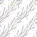 Beautiful seamless floral provence pattern with watercolor hand drawn gentle lavander flowers. Stock illustration. Royalty Free Stock Photo