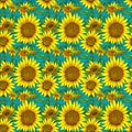 Beautiful seamless pattern consisting of sunflower and leaves for decoration Royalty Free Stock Photo