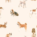 Beautiful Seamless Pattern With Cute Watercolor Hand Drawn Dog Breeds Cocker Spaniel Greyhound Basset Hound Poodle