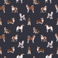 Beautiful Seamless Pattern With Cute Watercolor Hand Drawn Dog Breeds Cocker Spaniel Greyhound Basset Hound Poodle