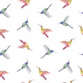 Beautiful seamless pattern cute watercolor hand drawn hummingbirds. Colibri birds. Stock illustration. Royalty Free Stock Photo