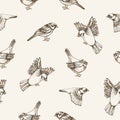 Beautiful seamless pattern with flying and sitting sparrows on light background. Backdrop with cute small city bird