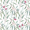 Watercolor australian floral pattern