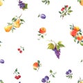 Beautiful seamless pattern with hand drawn watercolor tasty summer pear apple grape cherry plum fruits. Stock Royalty Free Stock Photo