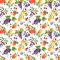 Beautiful seamless pattern with hand drawn watercolor tasty summer pear apple grape cherry plum fruits. Stock Royalty Free Stock Photo