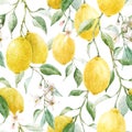 Beautiful seamless pattern with hand drawn watercolor yellow lemons and flowers. Stock illustration.