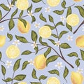 Beautiful seamless pattern with lemons, flowers and branch. Colorful hand drawn vector illustration. Texture for print Royalty Free Stock Photo