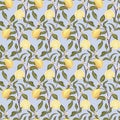 Beautiful seamless pattern with lemons, flowers and branch. Colorful hand drawn vector illustration. Texture for print Royalty Free Stock Photo
