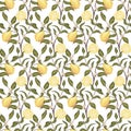 Beautiful seamless pattern with lemons, flowers and branch. Colorful hand drawn vector illustration. Texture for print Royalty Free Stock Photo