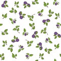 Beautiful seamless pattern with natural fresh blueberries.
