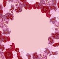 Flower, frame, pink, floral, border, white, flowers, nature, spring, decoration, card, art, isolated, blossom, abstract, illustrat