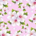 Beautiful seamless pattern pink with sakura blossom