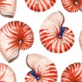 Watercolor sea life nautilus shell pattern Royalty Free Stock Photo