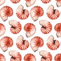 Watercolor sea life nautilus shell pattern Royalty Free Stock Photo