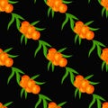 Beautiful seamless pattern with sea buckthorn berries. Vector illustration