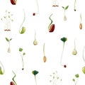 Watercolor beans peas seeds sprouts pattern Royalty Free Stock Photo