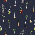 Watercolor beans peas seeds sprouts pattern Royalty Free Stock Photo