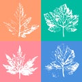 Beautiful seamless pattern of stamps of leaves from trees and fl