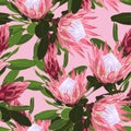 Beautiful seamless pattern of Tropical protea flowers, jungle leaves, exotic print.