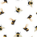 Watercolor bumblebee pattern