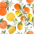 Beautiful seamless pattern with watercolor hand drawn citrus orange lemon grapefruit fruits. Stock illustration.