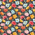 Beautiful seamless pattern with watercolor hand drawn colorful poppy flowers. Stock illustration.