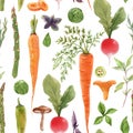 Beautiful seamless pattern with watercolor hand drawn vegetables. Stock illustration. Healthy food painting.