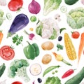 Beautiful vector seamless pattern with hand drawn watercolor healthy vegetable food. Eggplant cabbage corn broccoli