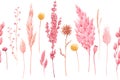 Beautiful seamless pattern with watercolor herbarium wild dried grass in pink and yellow colors. Stock illustration.