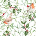 Beautiful seamless pattern with watercolor mistletoe plant leaves with robin birds. Stock illustraqtion.