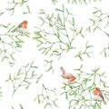 Beautiful seamless pattern with watercolor mistletoe plant leaves with robin birds. Stock illustraqtion.