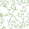 Beautiful seamless pattern with watercolor mistletoe plant leaves. Stock illustraqtion.