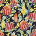 Watercolor australian banksia floral pattern