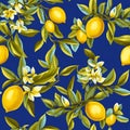 Beautiful seamless pattern yellow lemons and flowers on blue background in vintage style. Royalty Free Stock Photo