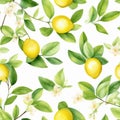 Beautiful seamless pattern yellow lemons and flowers on white background in vintage style. Royalty Free Stock Photo