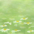 Beautiful seamless spring pattern