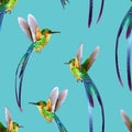 Beautiful seamless tropic exotic jungle pattern background. Hummingbirds on blue background