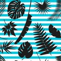 Beautiful seamless tropical jungle floral pattern background with different palm leaves Royalty Free Stock Photo