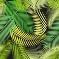 Beautiful seamless tropical jungle floral pattern background with different palm leaves Royalty Free Stock Photo