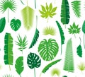 Beautiful seamless tropical jungle floral pattern background Royalty Free Stock Photo