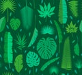 Beautiful seamless tropical jungle floral pattern background with different palm leaves Royalty Free Stock Photo