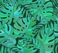 Beautiful seamless tropical jungle floral pattern background