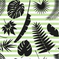 Beautiful seamless tropical jungle floral pattern background Royalty Free Stock Photo