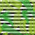 Beautiful seamless tropical jungle floral pattern background with palm leaves Royalty Free Stock Photo