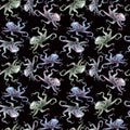 Beautiful seamless underwater pattern with watercolor octopus.